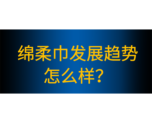 綿柔巾生產(chǎn)線有哪些性能特點，綿柔巾發(fā)展趨勢怎么樣？